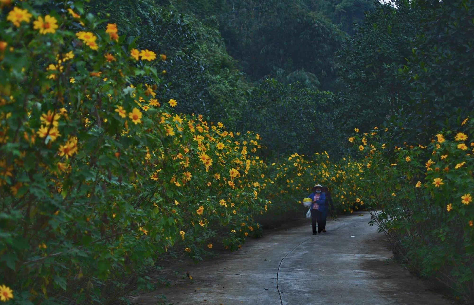 Thung Nham Resort Ninh Binh Exterior foto